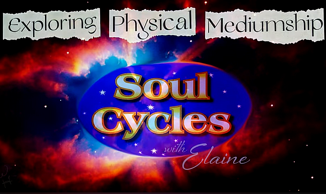 Raise the vibe with Liz, guest Elaine Kuzmeskus